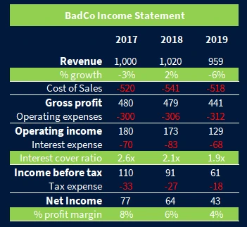 BadCo Income Statement