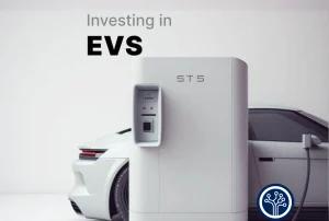 Investing in EVs